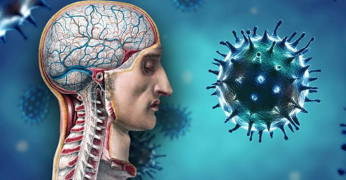 Sunt virusurile ființe vii Una dintre cele mai mari enigme ale biologiei