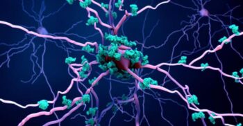 Particulele de „colesterol bun” ar putea juca un rol în prevenirea Alzheimerului