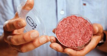 Carnea artificială, salvarea planetei: ce sunt proteinele „microbiene”