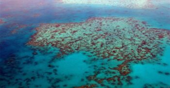 Peste 90% din suprafața studiată în acest an în Marea Barieră de Corali a albit