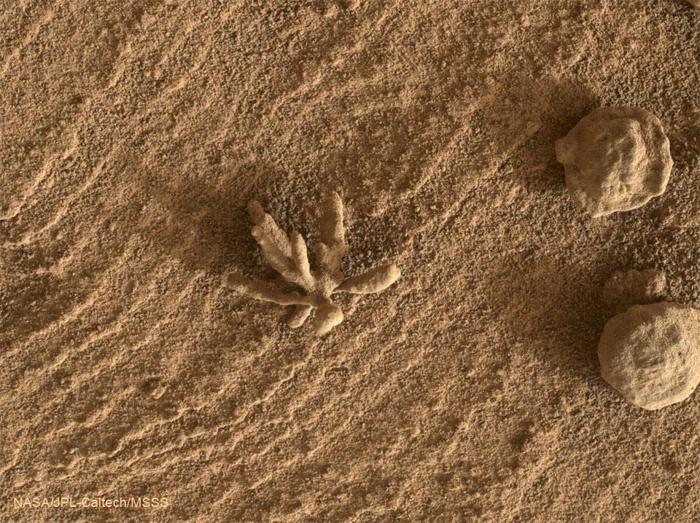 Stânca în formă de coral de pe Marte