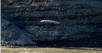 Fotografia devenită viral, cu un colț de mamut înfipt în malul unui râu