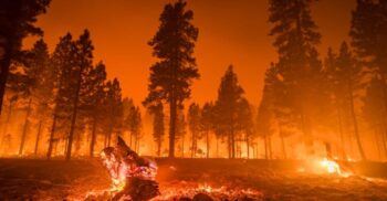 Oamenii de știință au descoperit cele mai vechi incendii de pădure înregistrate vreodată