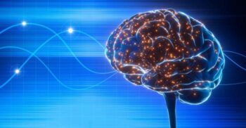 Stimularea creierului, pentru studiul memoriei: ce implicații uriașe ar putea avea în bolile neurodegenerative