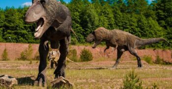 Descoperirea care adâncește și mai mult misterul din jurul dinozaurilor: cum se schimbă percepția