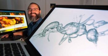 Oamenii de știință au descoperit noi specii de furnici