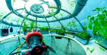 FOTO Scafandrii cultivă legume în sere subacvatice: ce este „Grădina lui Nemo”