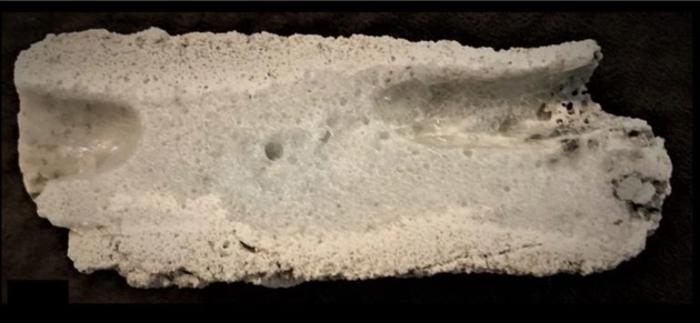 Fulgerul fosilizat Sandhills. Cvasicristalul a fost găsit în secțiunea din dreapta. (Bindi și colab., PNAS, 2022)