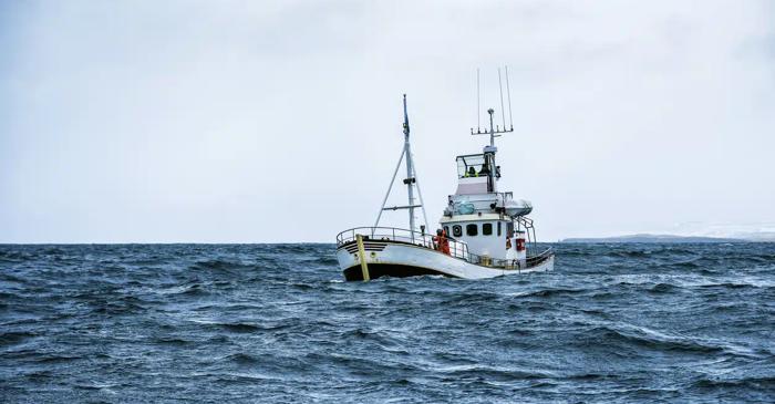 Infografic: Tracul de fund, o tehnică de pescuit care amenință oceanele și clima