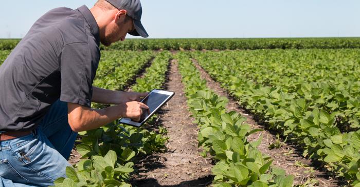 Agricultura digitală: care sunt avantajele software-ului agricol și cum îl alegeți pe cel potrivit?