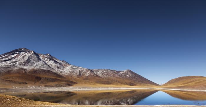 Atacama: o "biosferă" descoperită la o adâncime de 4 metri