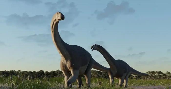 Ce știm despre acest mini titanosaur descoperit în Argentina?
