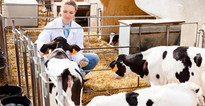 O etichetă privind bunăstarea animalelor pe produsele alimentare: iată cum va arăta aceasta