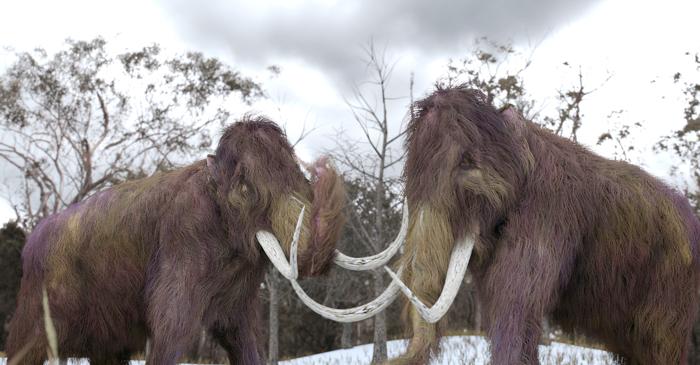 Descoperire majoră de oase de mamut în Austria