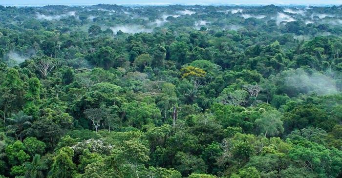Ce secrete ascunde orașul portughez înghițit de jungla amazoniană?
