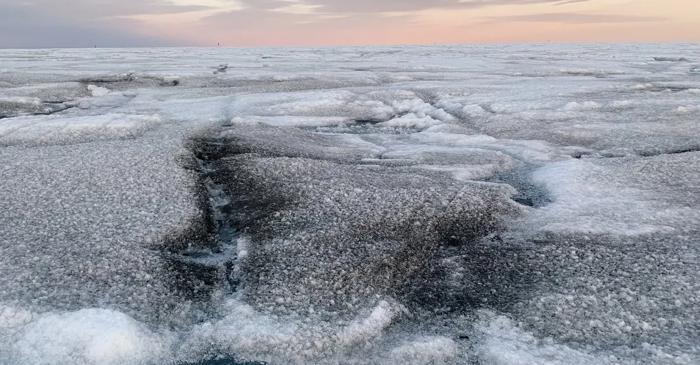 Virusuri gigantice descoperite în gheața din Groenlanda influențează topirea