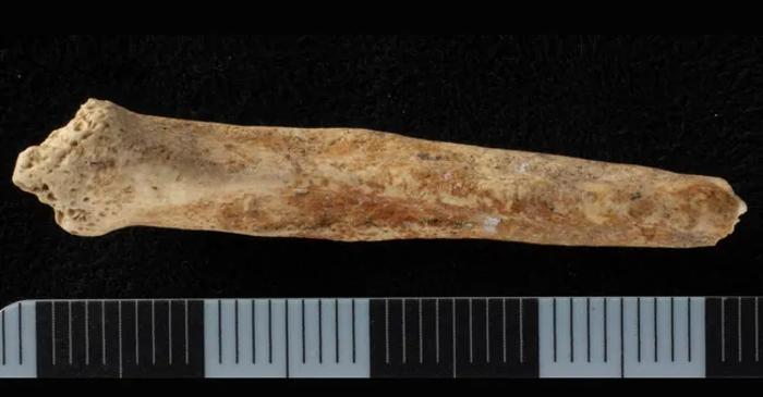 Arheologii au descoperit un os de câine vopsit în roșu într-un ritual roman din Londra