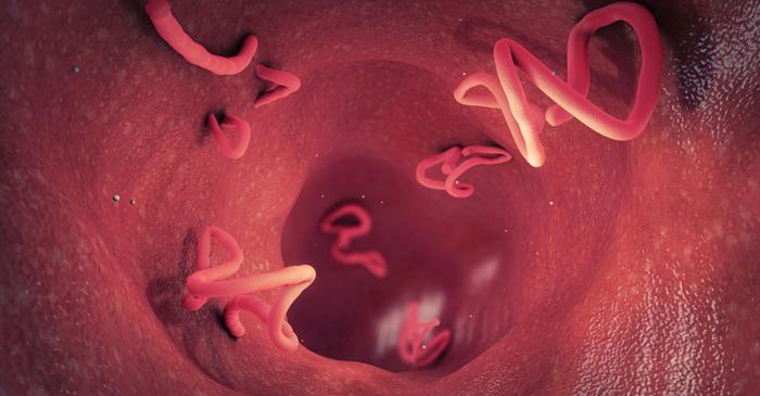 Ce parazit rezistent la tratament amenință Africa?