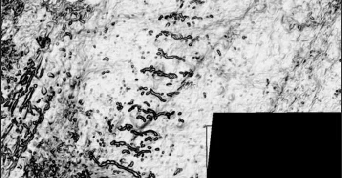 Ce secrete ascunde noroiul din Marea Nordului?