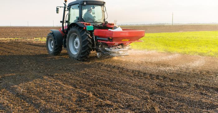 Cercetătorii britanici au descoperit o mutație care ar putea reduce dramatic folosirea îngrășămintelor la grâu