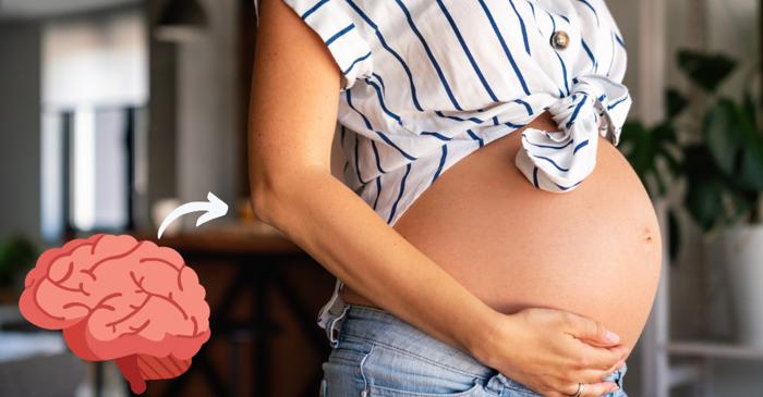 Cum remodelează sarcina creierul femeii