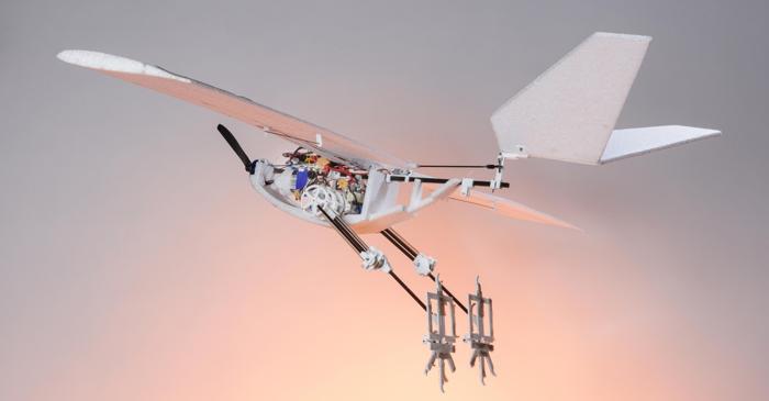 Cum zboară o cioară-robot cu picioare de atlet?