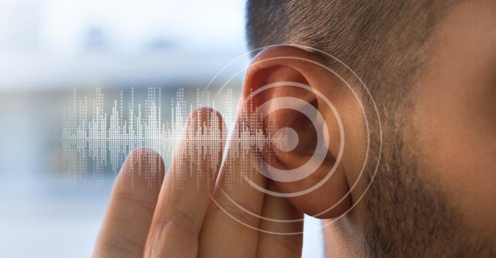 Mușchii urechilor se activează atunci când ascultăm cu atenție