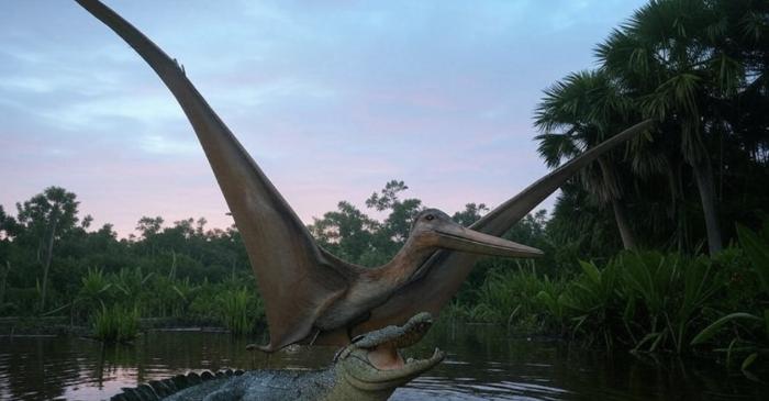 Paleontologii au descoperit în Canada dovada rară a unui conflict între un pterozaur și un crocodil