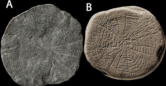 Pietrele solare din Bornholm dezvăluie ritualurile disperate ale strămoșilor în fața unei catastrofe climatice