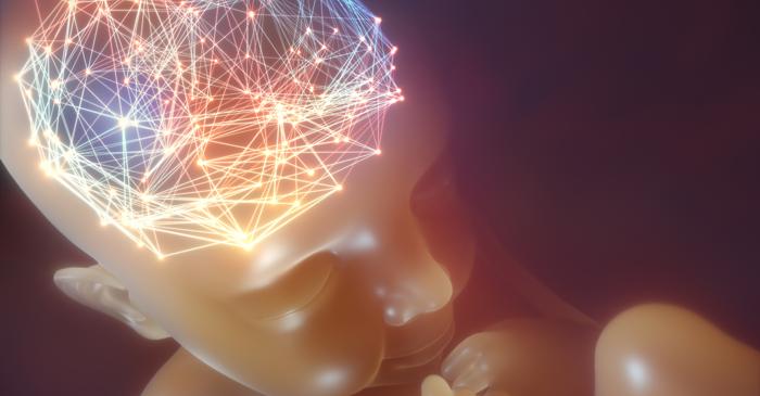 Studiu Cambridge: Creierul băieților și al fetelor diferă încă din primele zile de viață