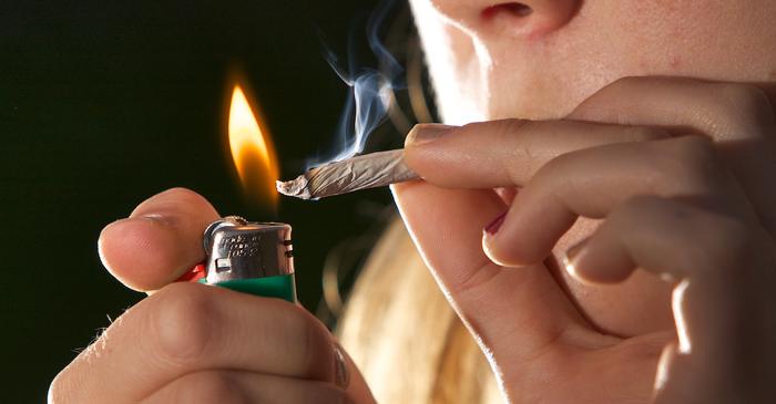 Un studiu major dezvăluie efectele canabisului asupra memoriei de lucru la tinerii adulți