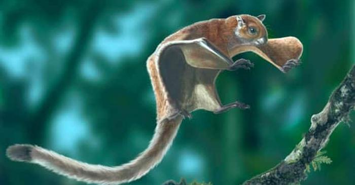 Paleontologii au descoperit o veveriță zburătoare uriașă din Pleistocen în Munții Appalachi