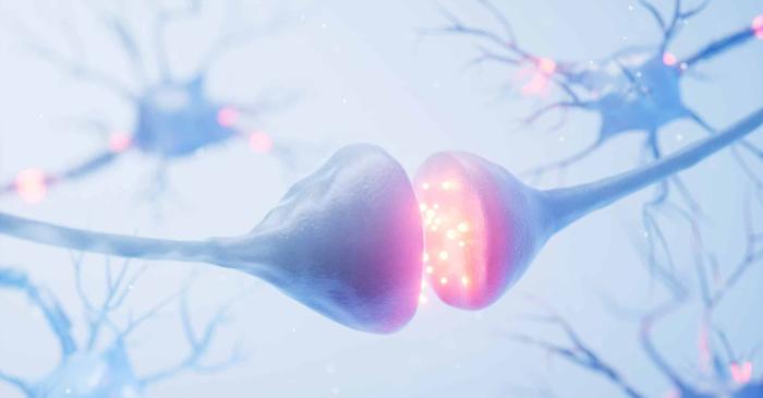 Cercetătorii americani au descoperit legătura dintre pliurile creierului și capacitatea de raționament