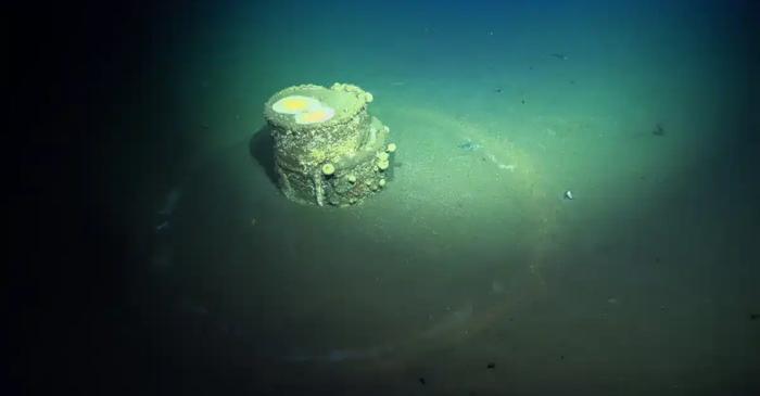 Deșeurile alcaline din barilurile scufundate lângă Los Angeles modifică ecosistemele marine de 50 de ani