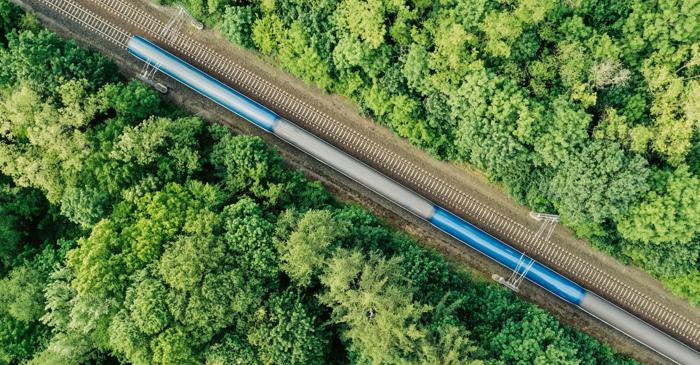 Cum a reușit o companie franceză să reducă cu 90% accidentele feroviare provocate de animale?