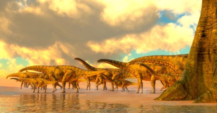 Sauropodele gigant se deplasau în turmă acum 166 de milioane de ani