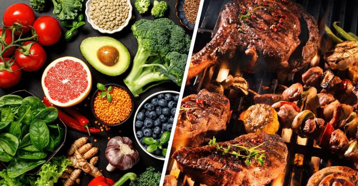 Un experiment pe gemeni identici dezvăluie efectele opuse ale dietelor vegană și carnivoră