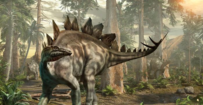 Fosilele celui mai mare stegozaur din lume au zăcut neidentificate într-un muzeu timp de 76 de ani