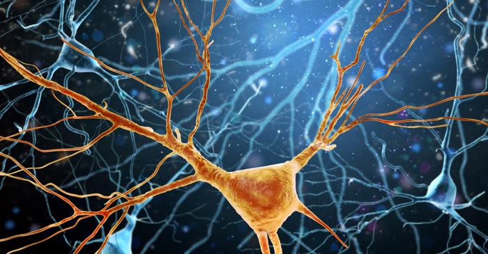 O companie franceză transformă activitatea cerebrală în noua metodă de autentificare biometrică