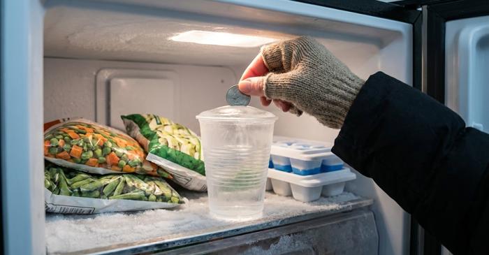 O monedă lăsată în congelator dezvăluie pericolul ascuns al penelor de curent