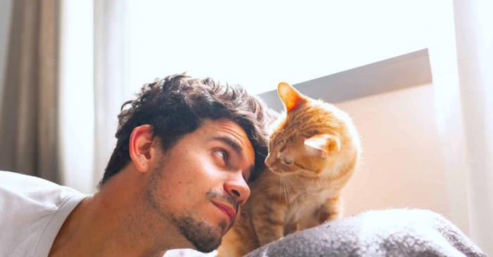 Pisicile miaună mai mult la bărbați pentru că îi percep ca fiind mai puțin atenți