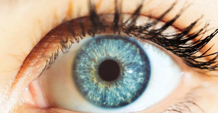 Toate persoanele cu ochi albaștri au un singur strămoș comun