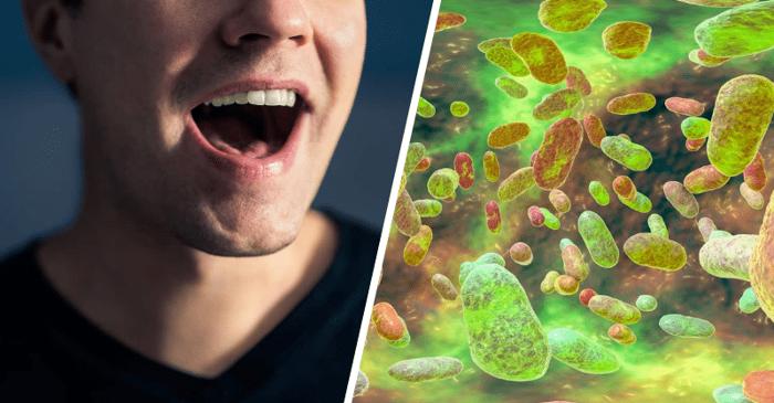 Ce spun bacteriile din gură despre riscul de obezitate?