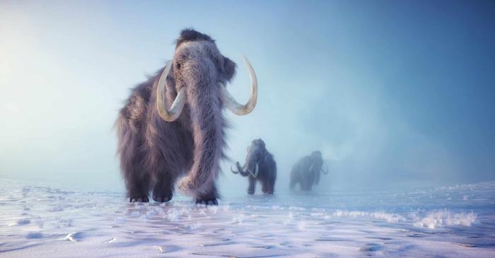 Ruma fânului ar fi putut contribui la dispariția mamuților