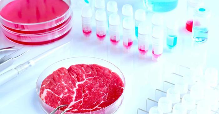 Carnea artificială produce de 25 de ori mai multe emisii de carbon decât carnea tradițională