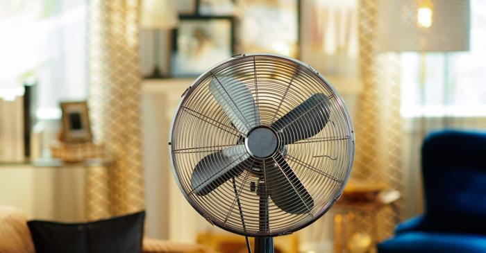 Creierul uman creează muzică și voci din zgomote aleatorii pentru a da sens haosului