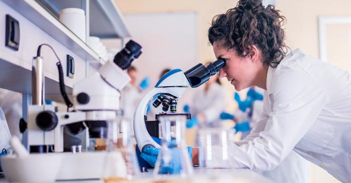 Cum a învățat un mini-creier din laborator să rezolve o problemă de echilibru?