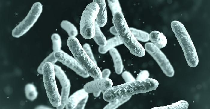 Cum ne ajută inteligența artificială să câștigăm cursa împotriva super-bacteriilor?