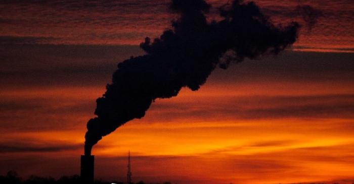 Dioxidul de carbon din atmosferă ne erodează oasele pentru a neutraliza aciditatea sângelui