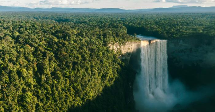 Guyana este singura țară din lume care ar supraviețui opririi comerțului alimentar global